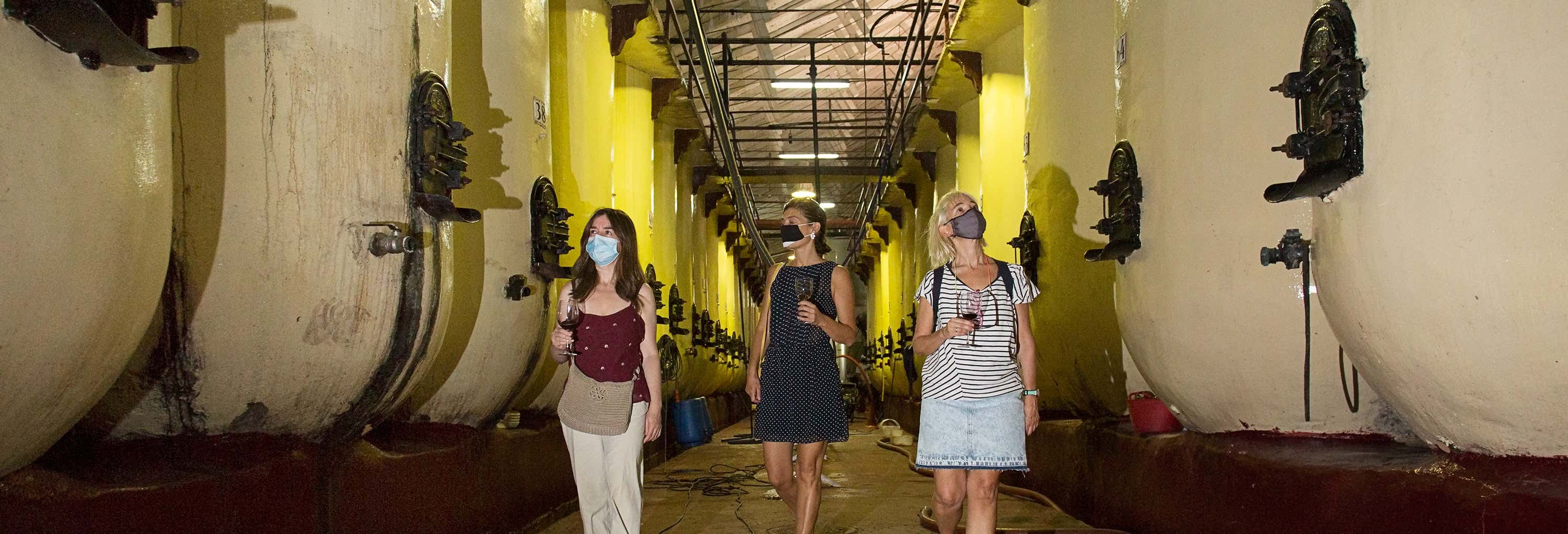 Visita della cantina Cristo del Humilladero