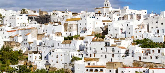 Escursione a Vejer e Conil de la Frontera in piccoli gruppi
