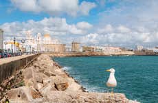 Private Tour of Cádiz