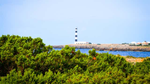 Cala en Bosch