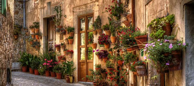 Escursione a Palma e Valldemossa