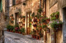 Palma + Valldemosa Excursion