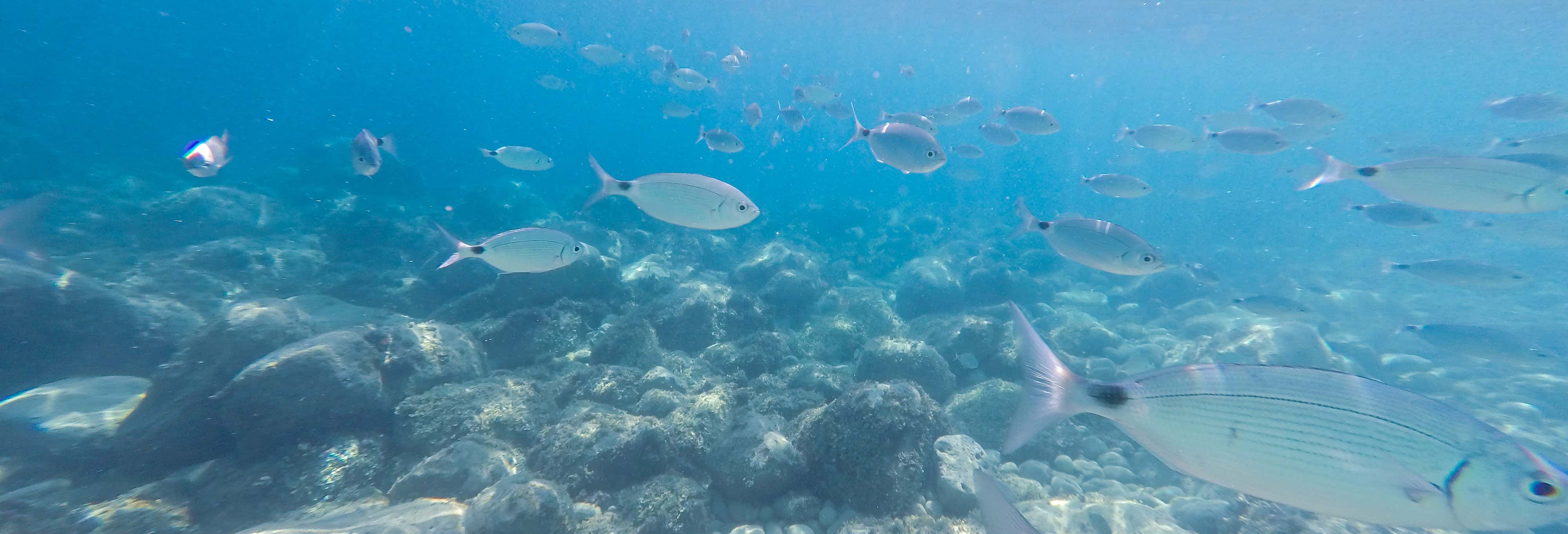 Calp Beginners Scuba Diving Lesson