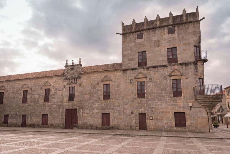 Imagen 5
