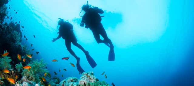 Immersione per principianti a Cambrils