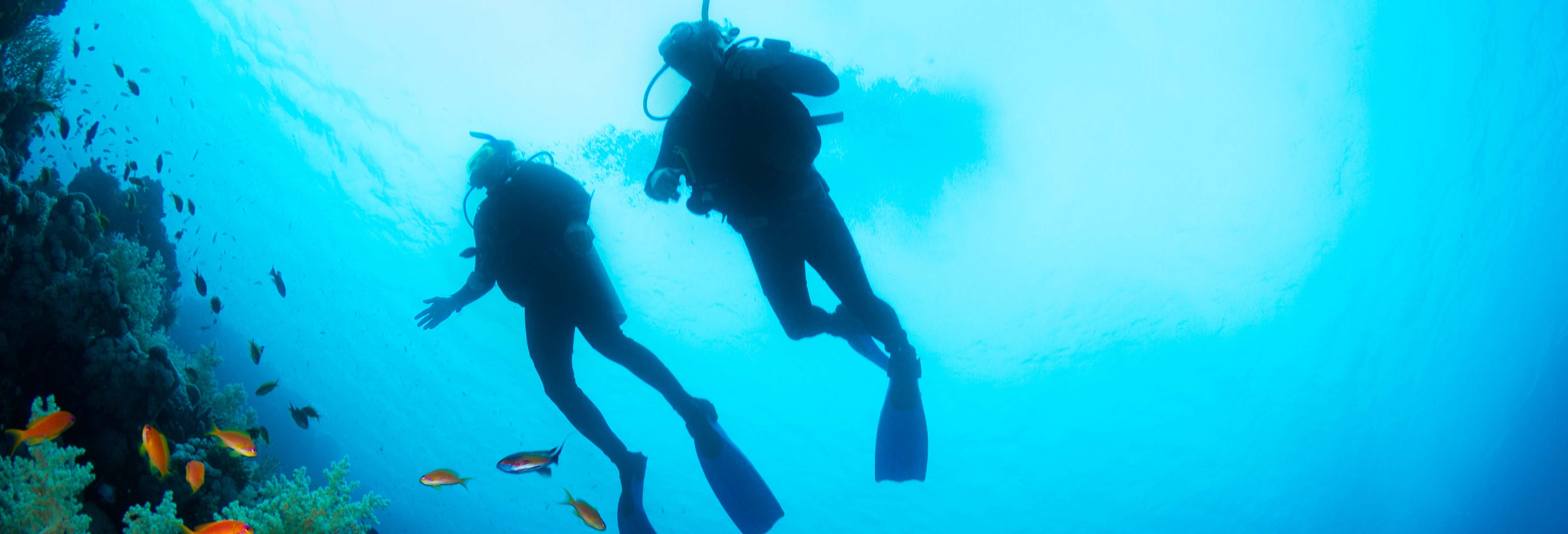 Beginner's Scuba Dive in Cambrils