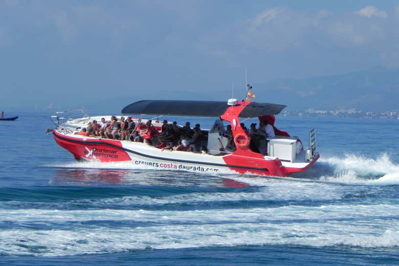 Imagen 6