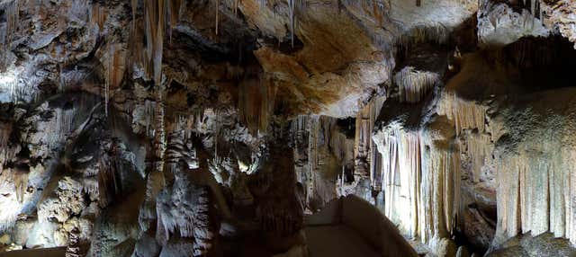 Campanet Caves Ticket