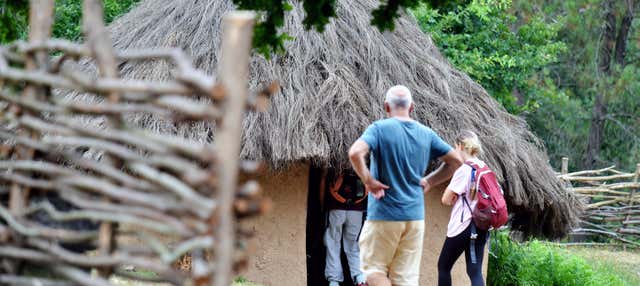 Visita guidata nel Parco Archeologico di Campo Lameiro