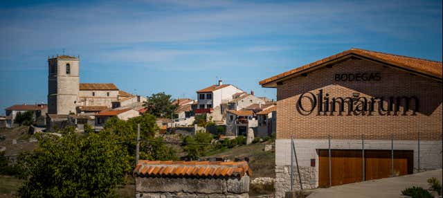 Visita alle cantine Olimarum