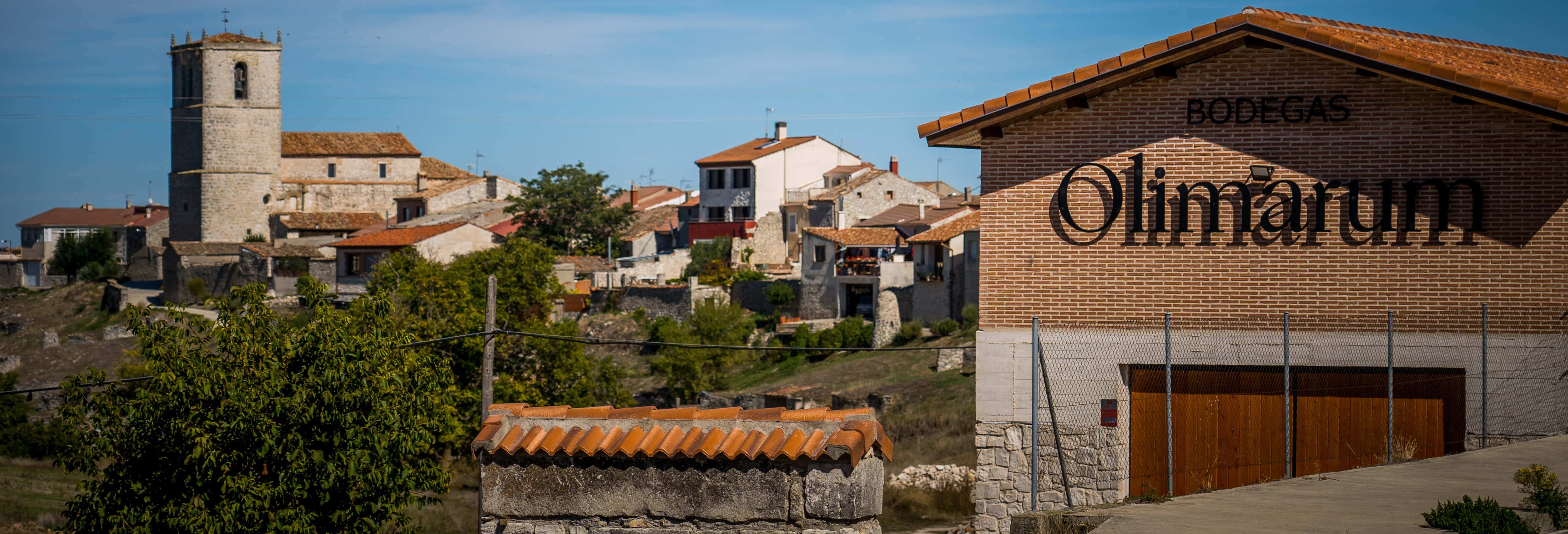 Visita alle cantine Olimarum
