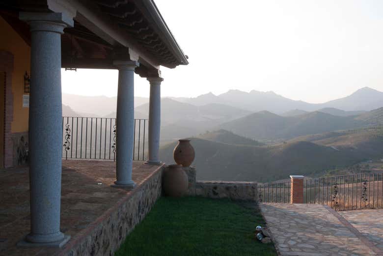 Imagen 5