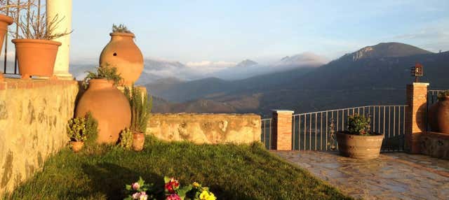 Visita a las bodegas Ruiz Torres