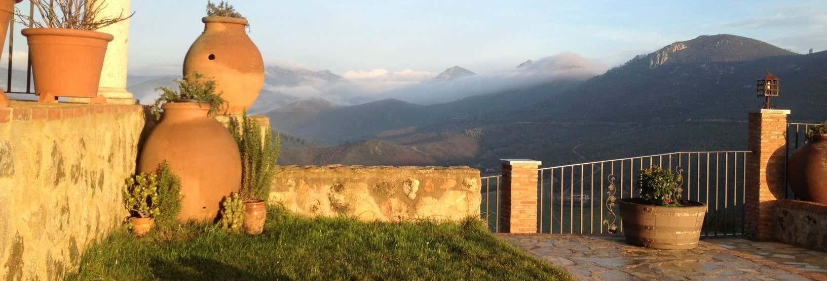 Visita a las bodegas Ruiz Torres