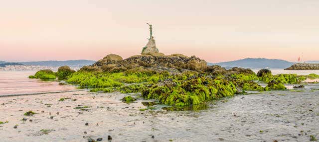 Escursione all'isola di San Simón in barca
