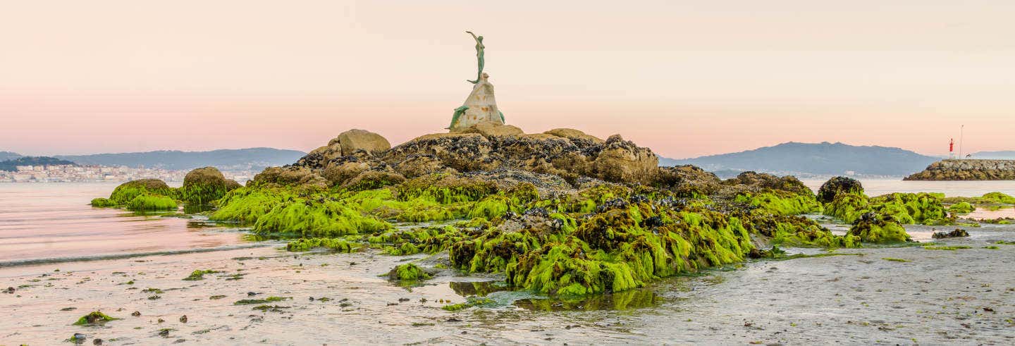 Escursione all'isola di San Simón in barca