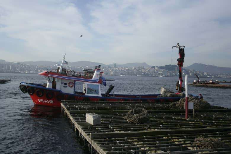 Imagen 10