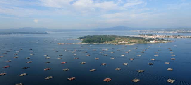 Giro in barca sulla Ría de Vigo + Degustazione di cozze