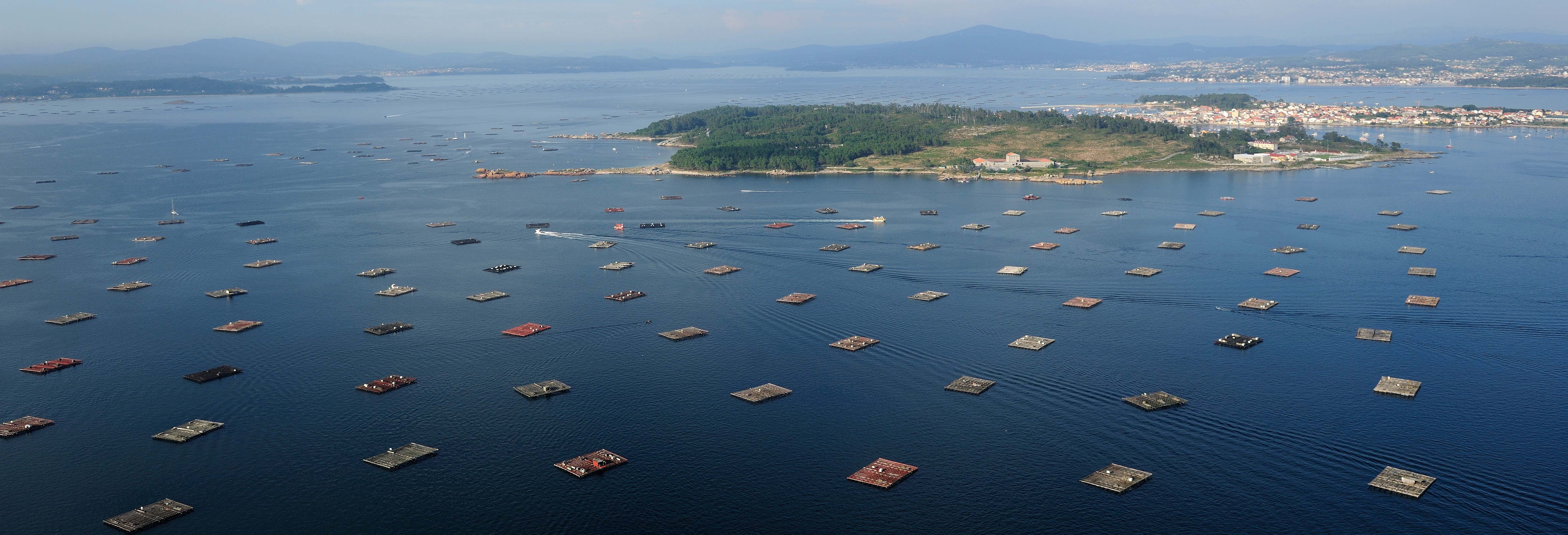 Giro in barca sulla Ría de Vigo + Degustazione di cozze