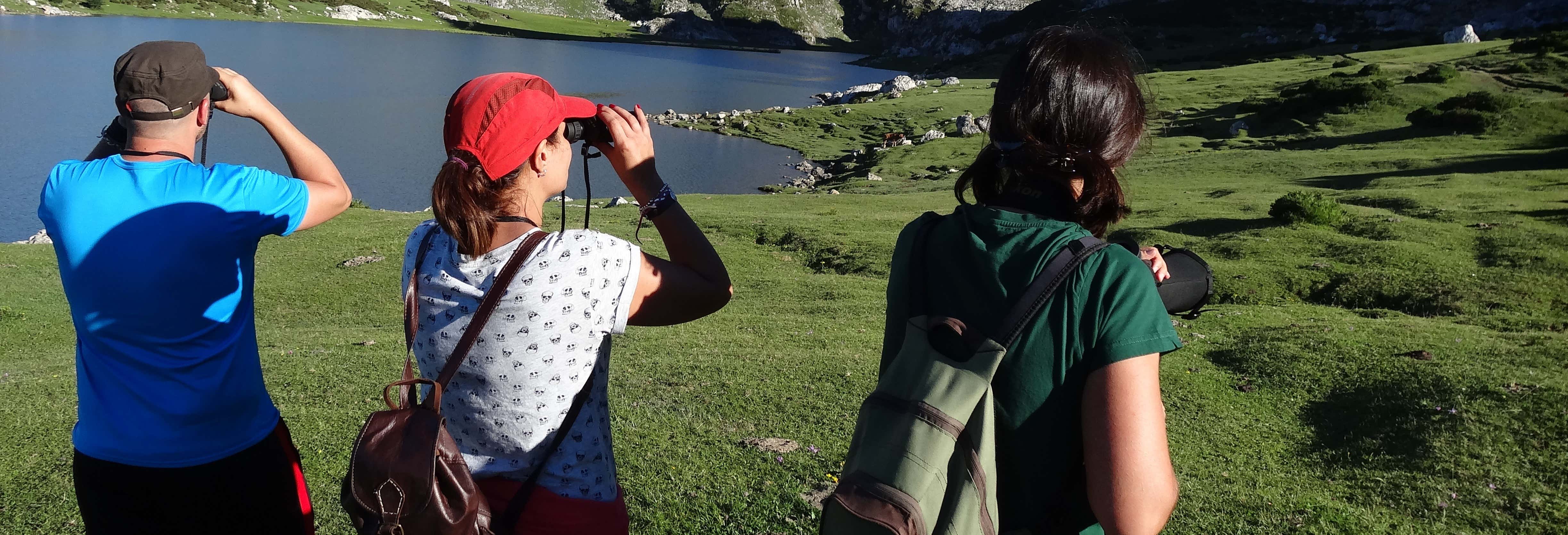 Lakes of Covadonga Bird Watching