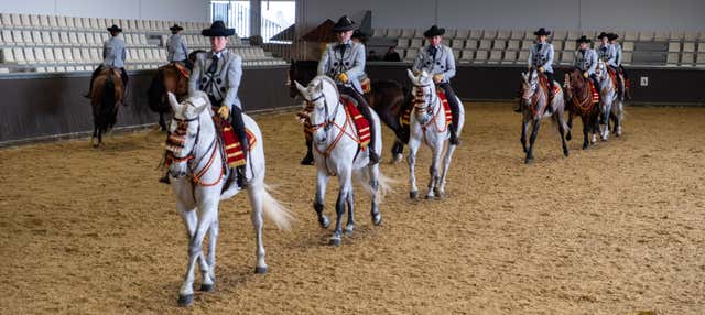 Spettacolo equestre a Carmona