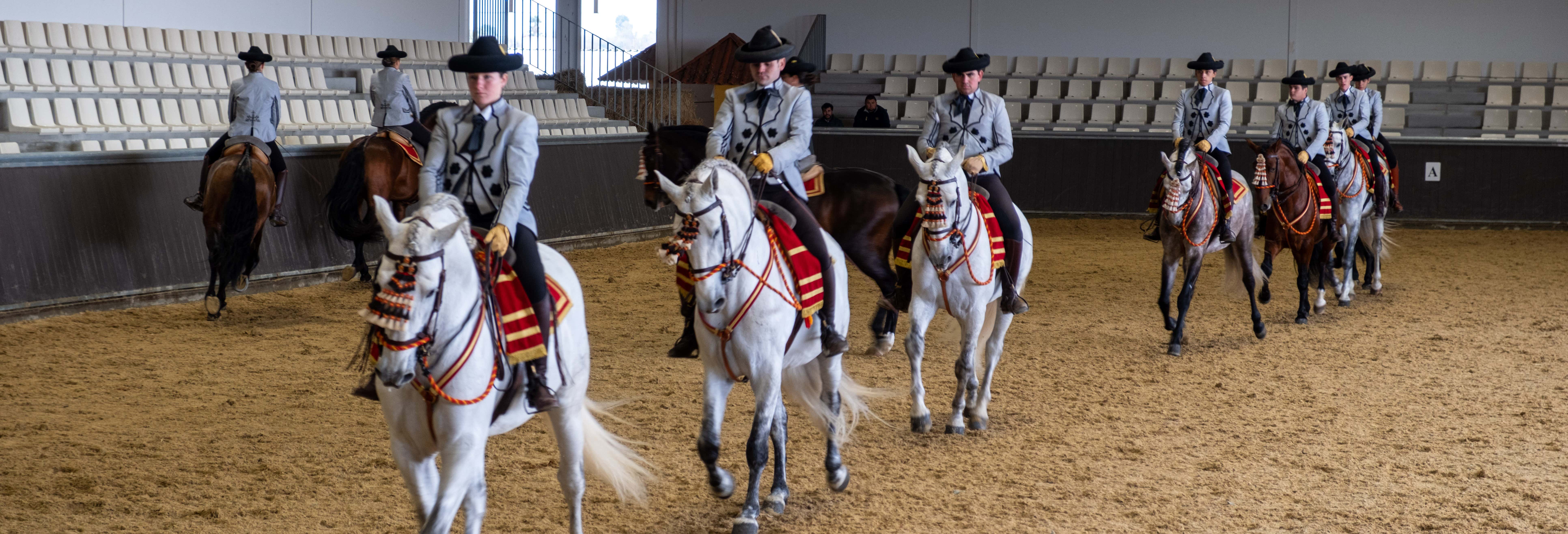 Equestrian Show in Carmona