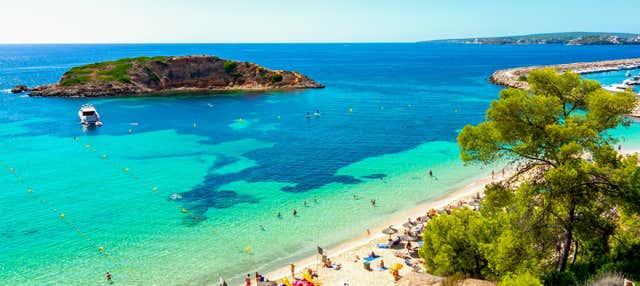 Immersione a Cala Portals Nous