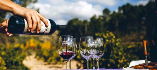 Visita guidata delle cantine Gratias