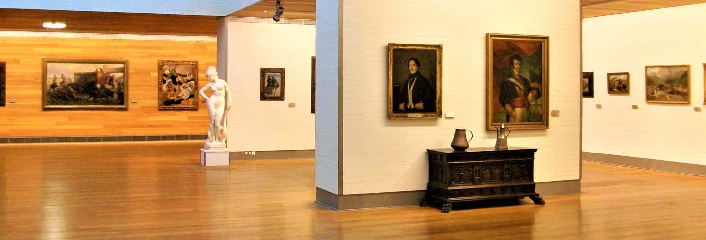 Visita guidata del Museo di Belle Arti