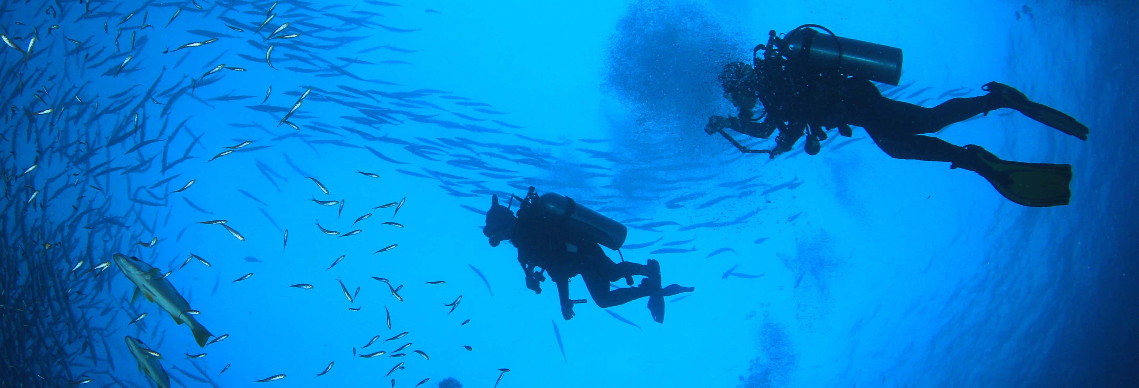 Scuba Diving Introduction in Castro Urdiales