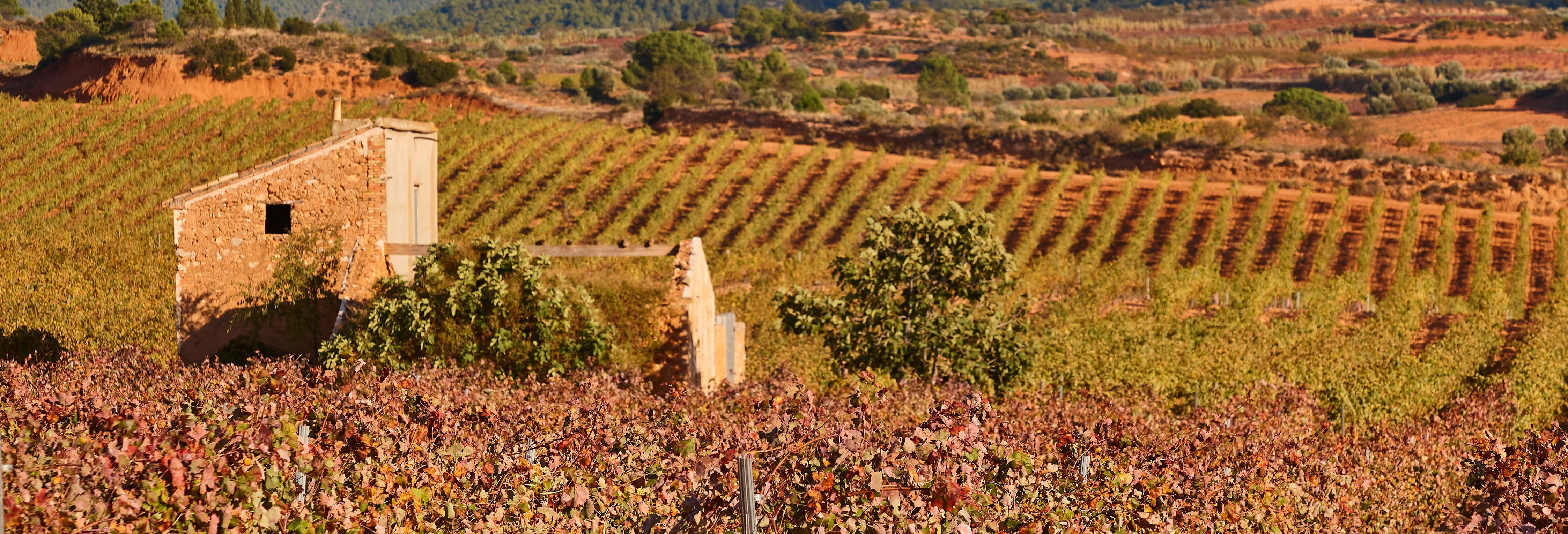 Caudete de las Fuentes