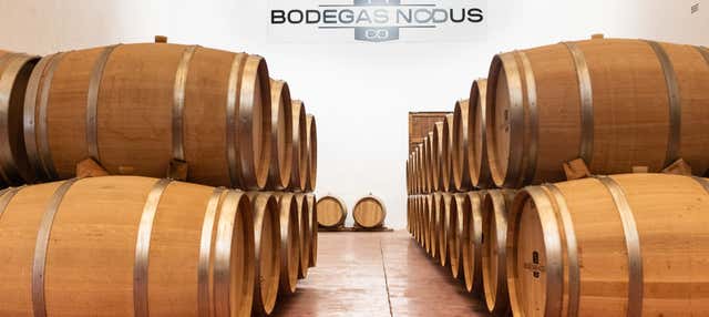 Visita alle Bodegas Nodus