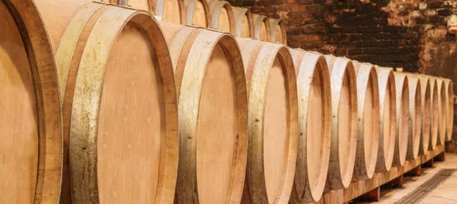 Visita alle Bodegas Riojanas con degustazione di vino