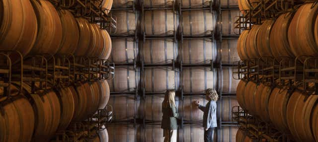 Visita delle cantine Marqués de Cáceres