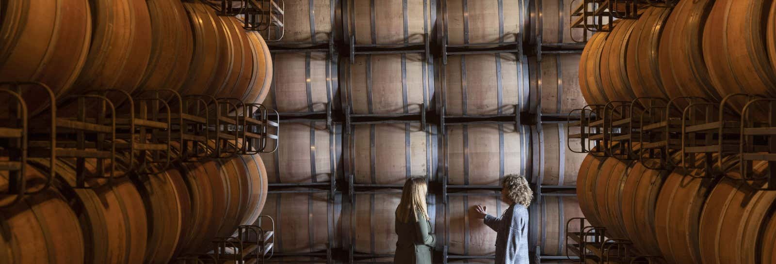 Visita delle cantine Marqués de Cáceres