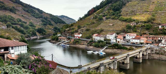 Paseo en catamarán por los cañones del Miño