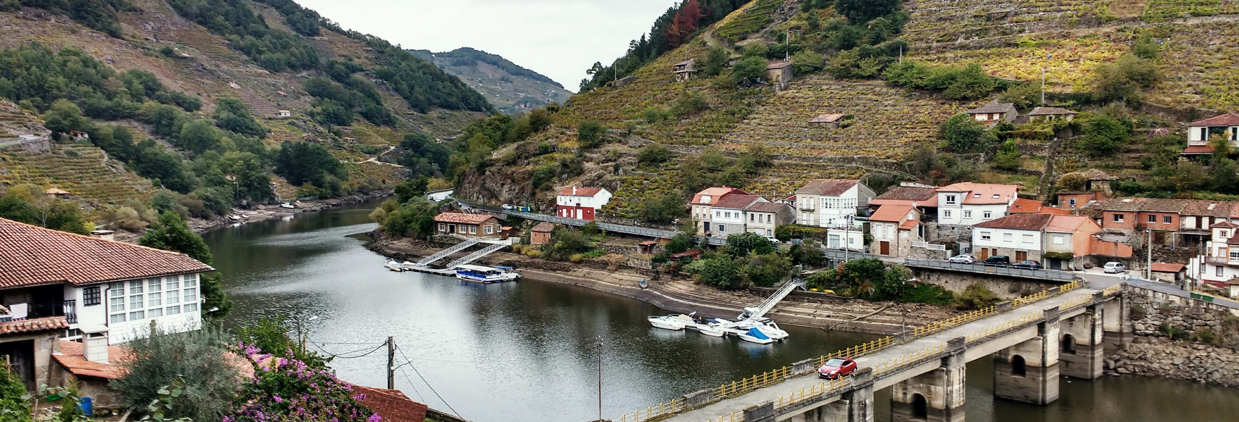 Paseo en catamarán por los cañones del Miño