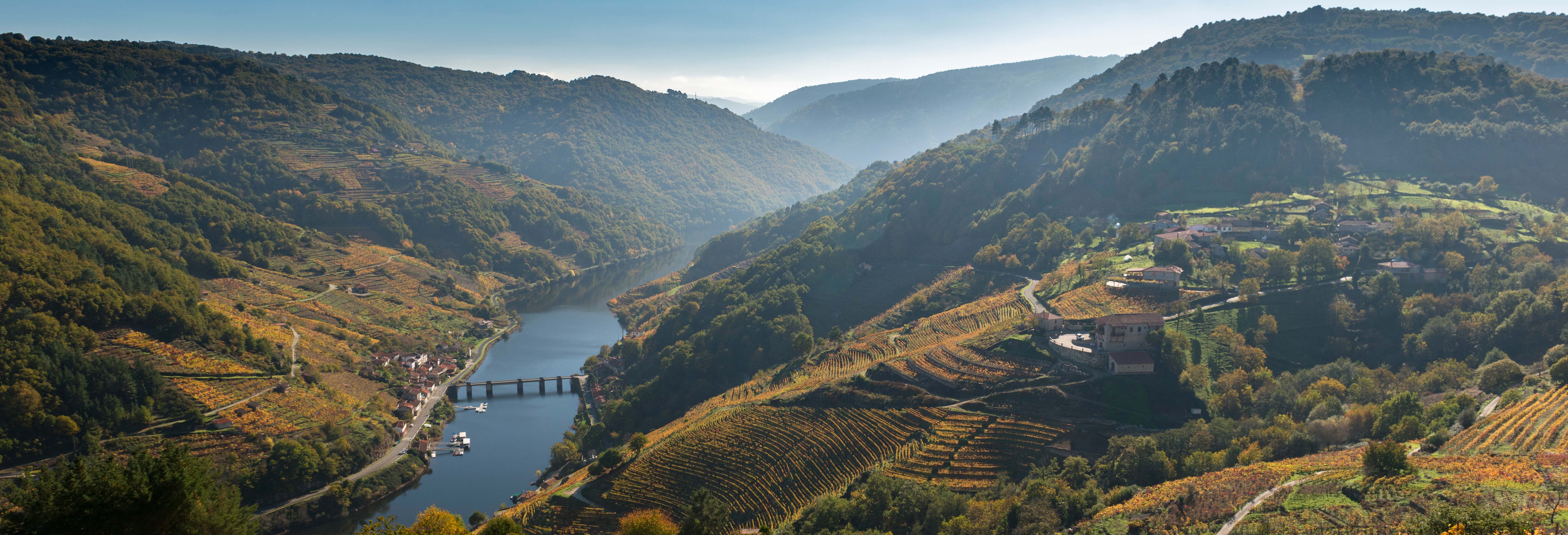 Visita alla cantina Vía Romana