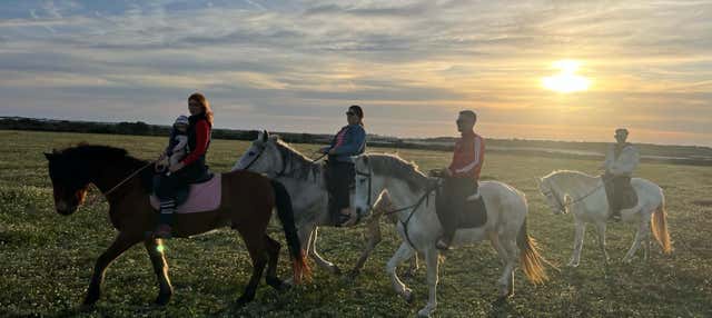 Passeggiata a cavallo fra le paludi del Coto de la Isleta