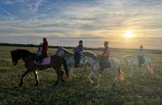 Horseback Riding Tour in Coto de la Isleta