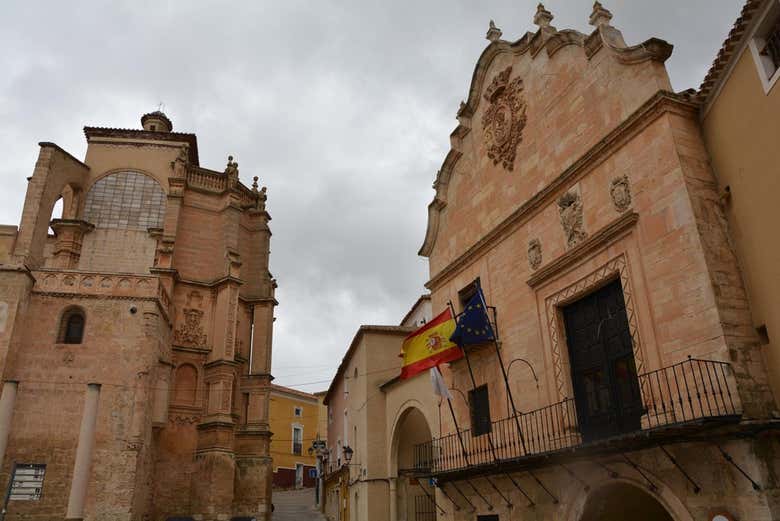 Imagen 8
