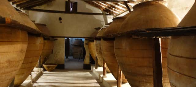Visita alla Bodega del Nero