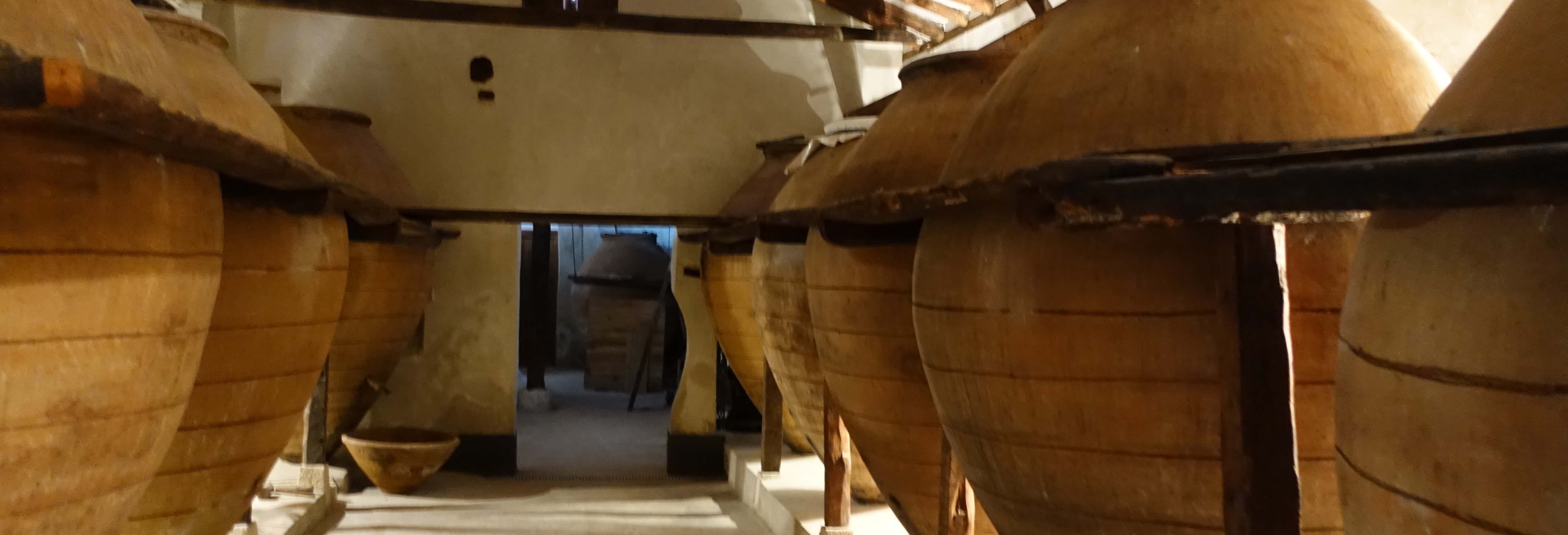 Visita alla Bodega del Nero