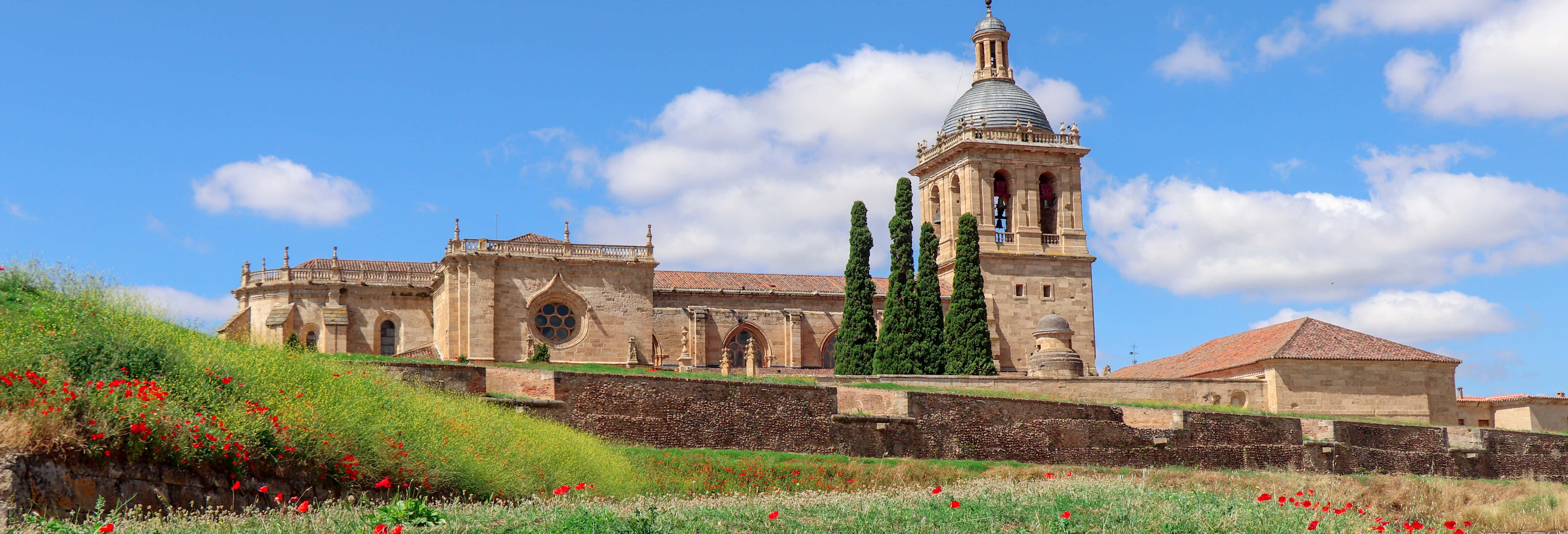 Visita guidata di Ciudad Rodrigo