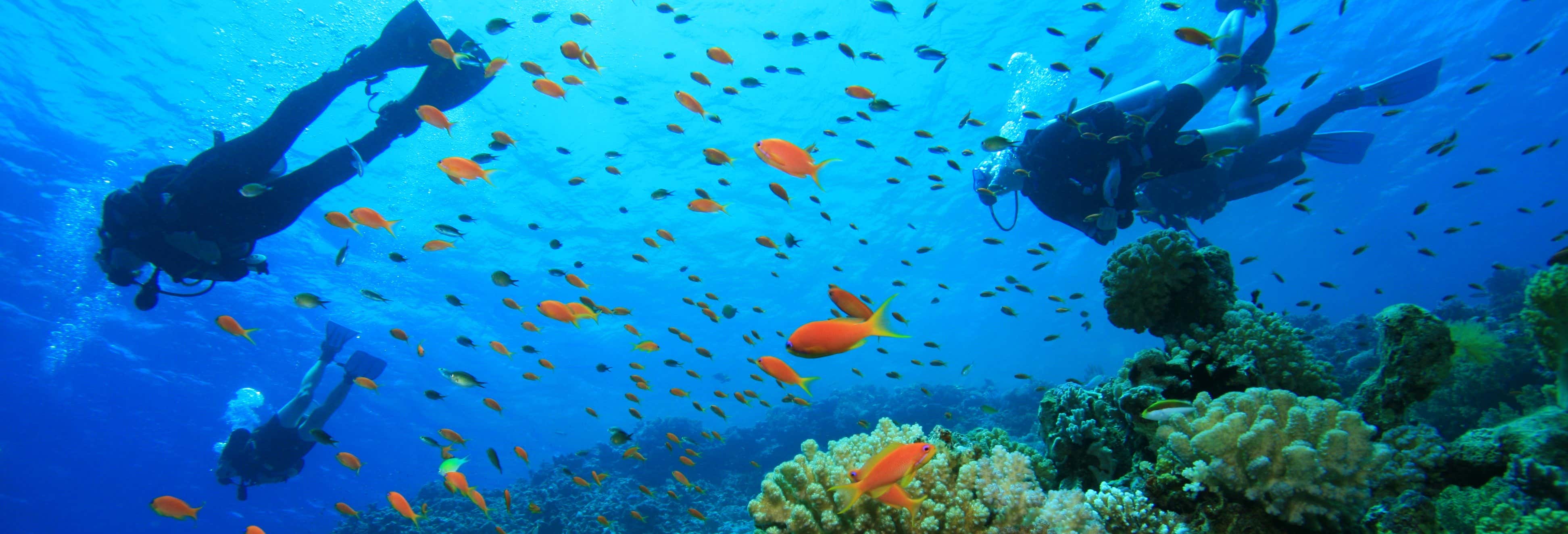 Beginners Diving Lesson in Menorca