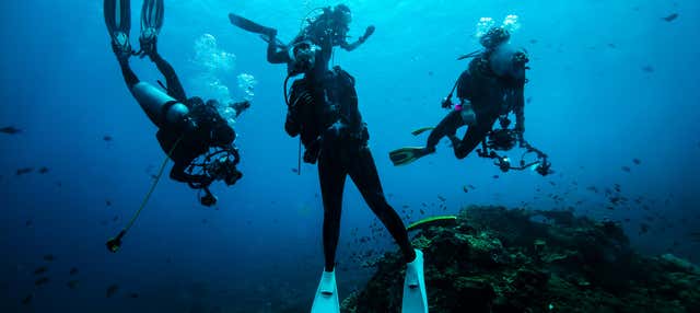 Corso di immersione PADI Open Water