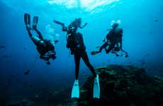 PADI Open Water Diving Course
