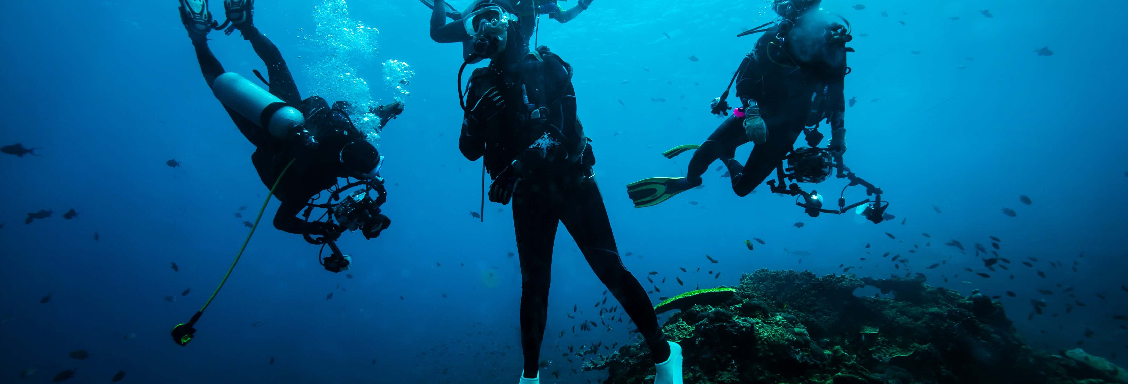 PADI Open Water Diving Course