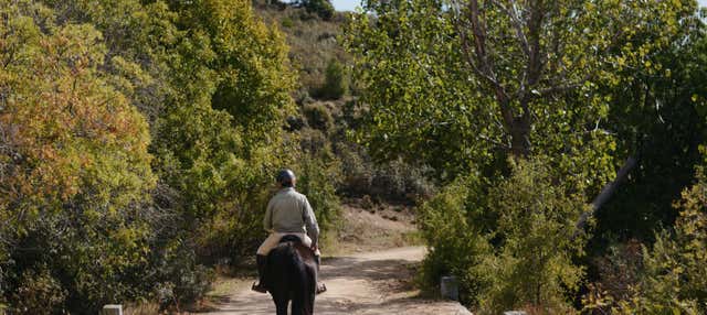 Passeggiata a cavallo nel Parco Nazionale di Guadarrama