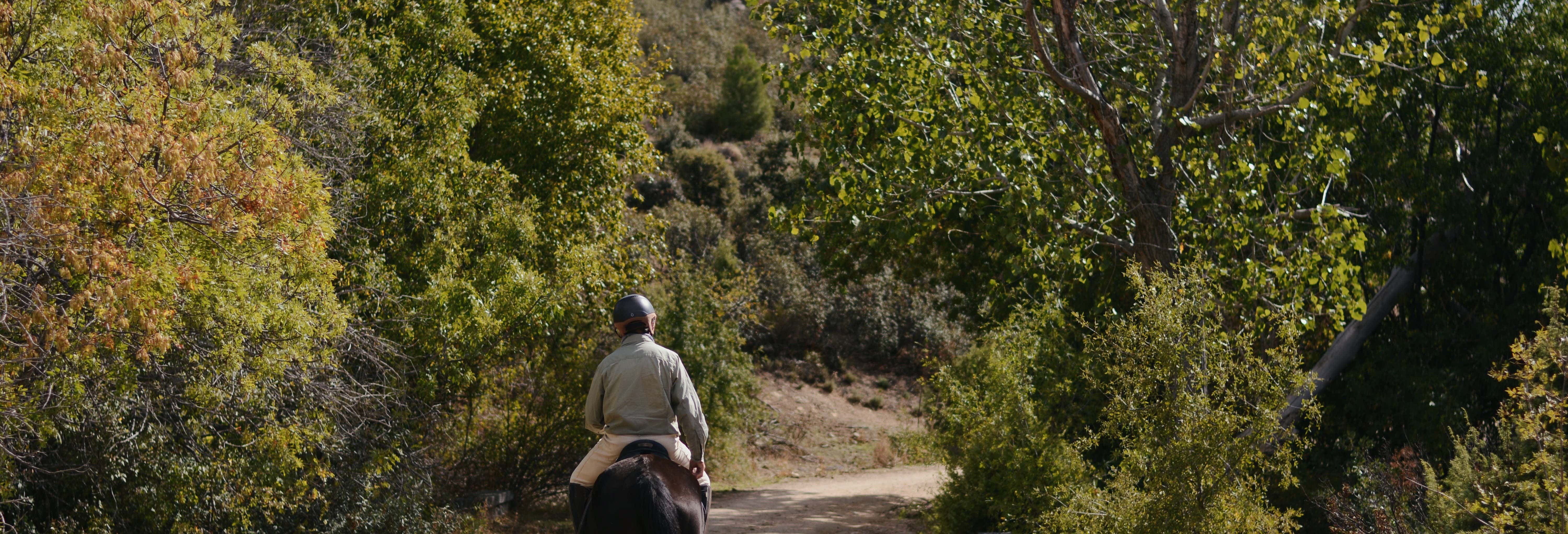 Guadarrama National Park Horse Riding Tour